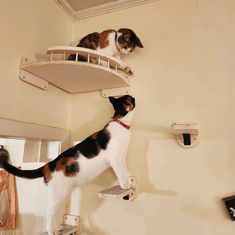 Cat Wall Shelves and Steps, photo 5