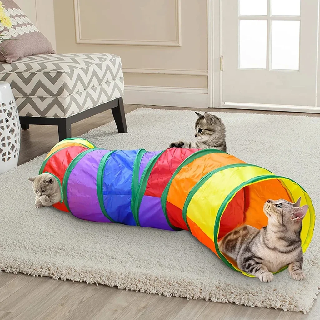 Collapsible cat tunnel: two cats playing in a rainbow cat tunnel
