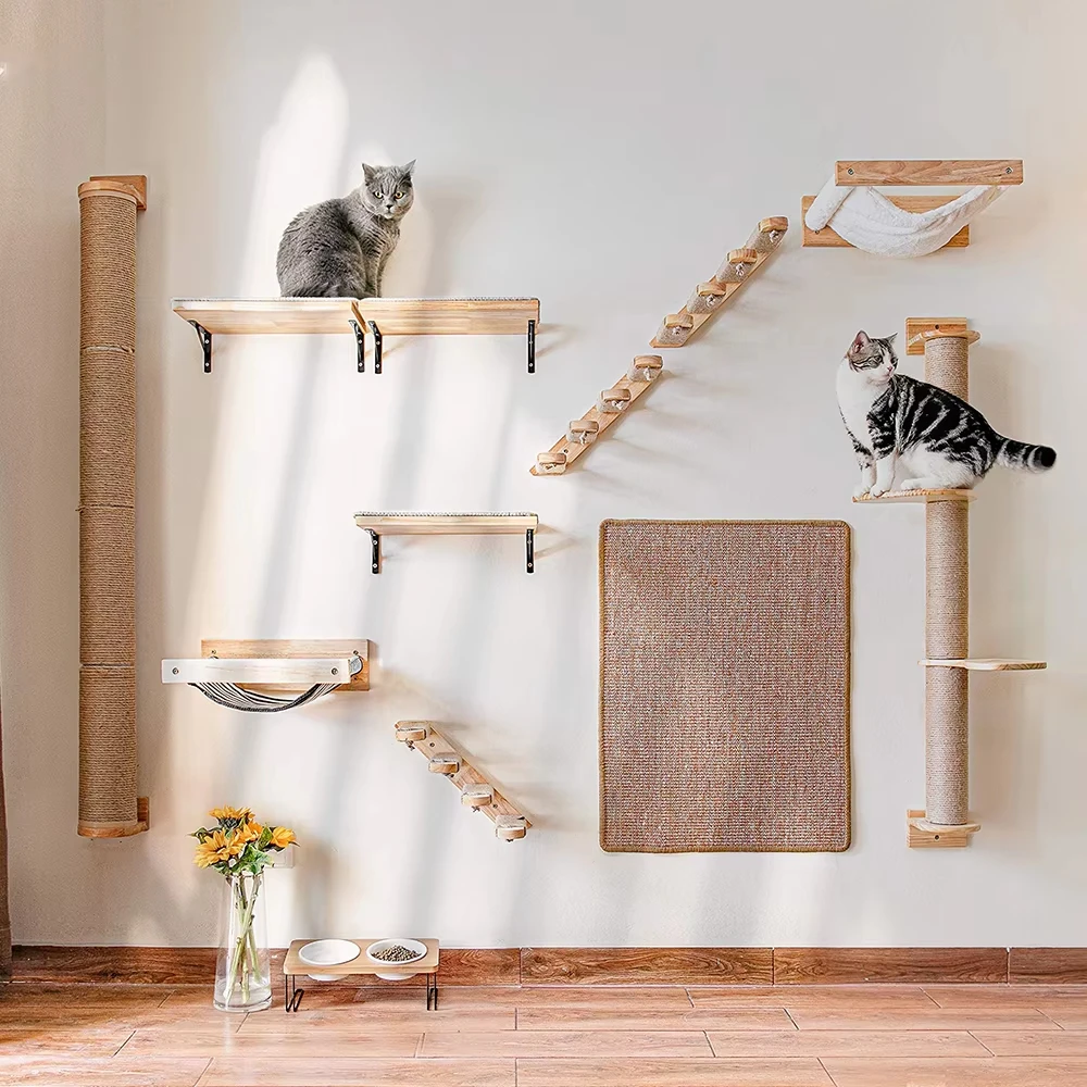 Two cats on wall-mounted cat shelves, a hammock and a sisal post