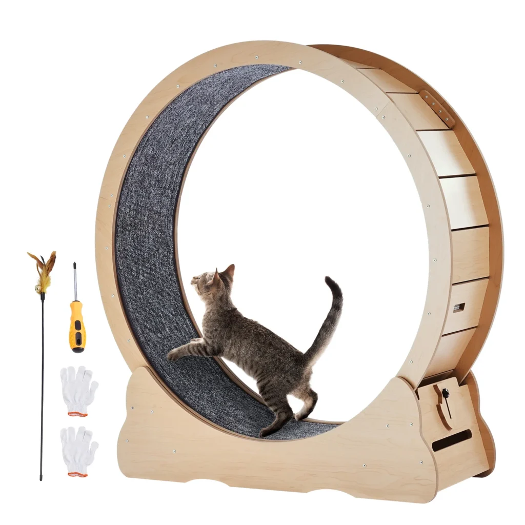 Wooden cat exercise wheel with a grey carpet track