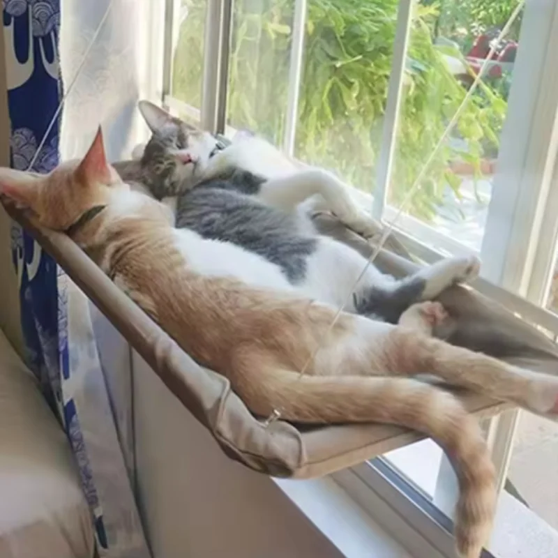 Two cats relaxing on a cat window hammock in the sun