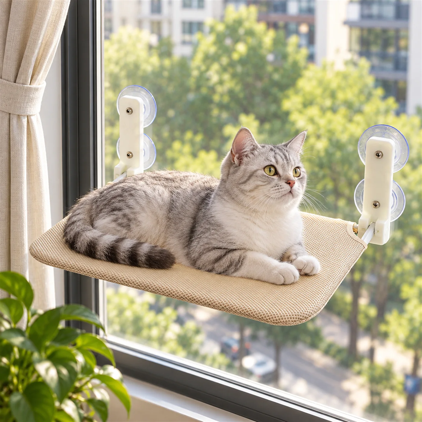 Grey tabby cat lying on the beige mesh window perch held by suction cups